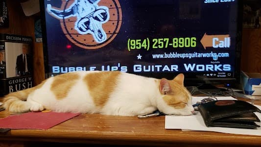 Bubble Up's Guitar Works