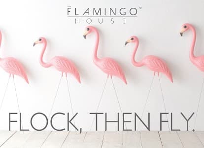 The Flamingo House